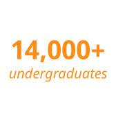 14,000+ undergraduates